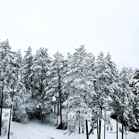 Magic Forest 公寓 *