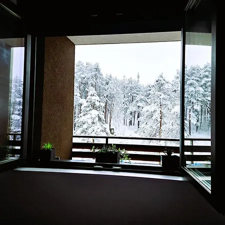 Magic Forest * ズラティボール