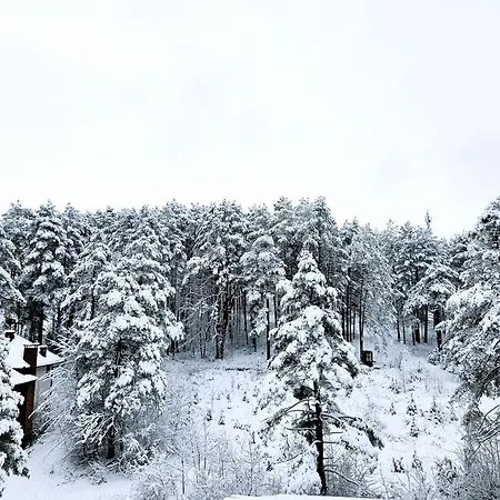 Magic Forest Apartman