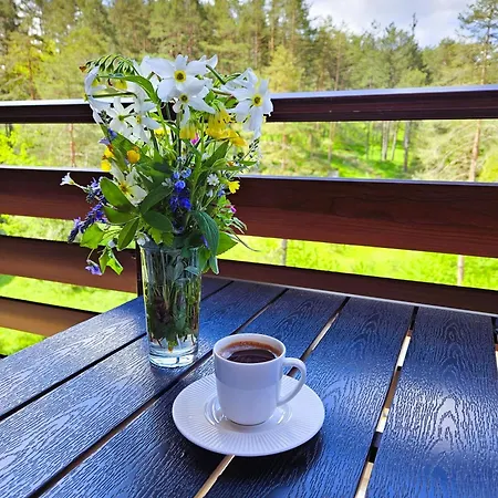 Magic Forest アパート ズラティボール