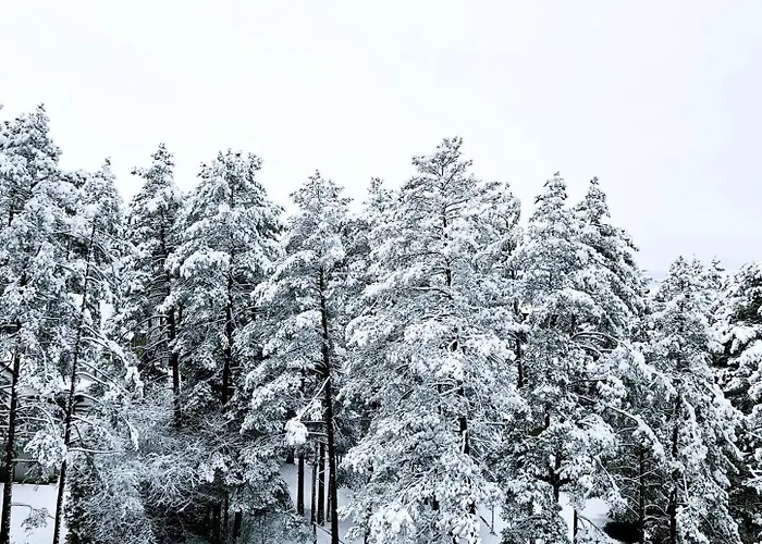 Magic Forest Lägenhet *