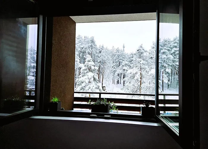 Magic Forest * Zlatibor