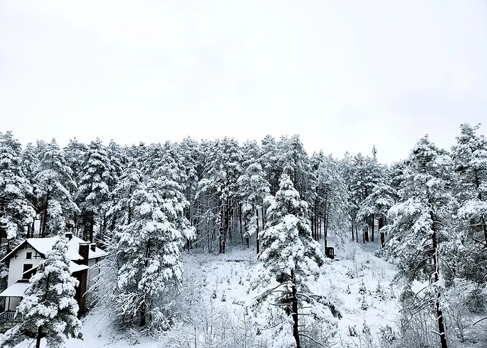 Magic Forest Lägenhet
