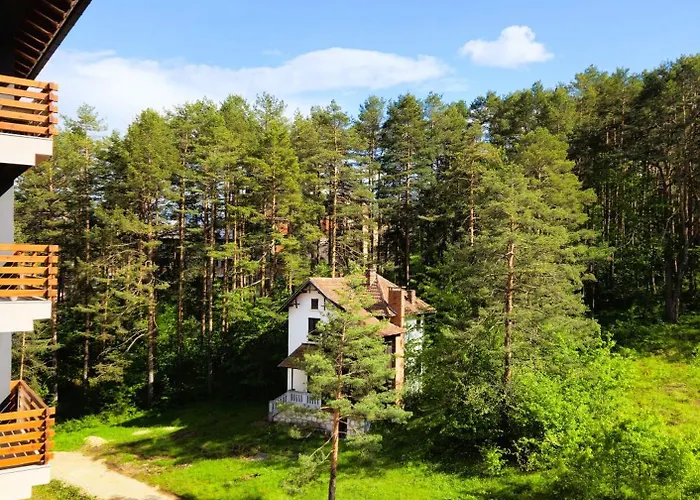 Magic Forest Zlatibor