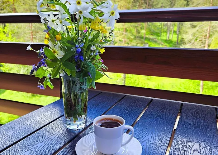Magic Forest Lägenhet Zlatibor